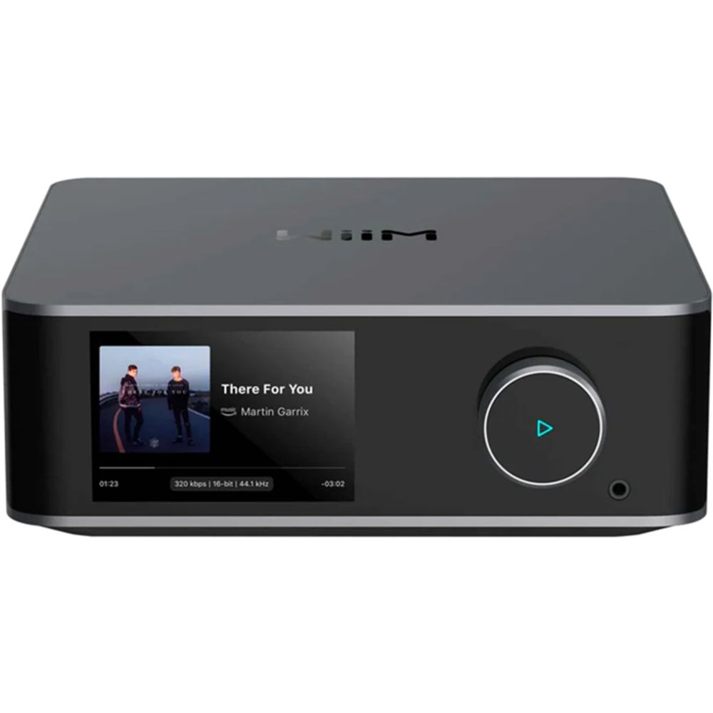 Wiim Ultra Digital Music Streamer - Grey