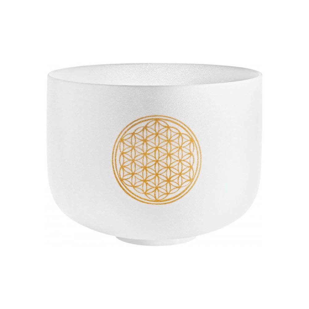 Meinl Sonic Energy Pcsb10Fol Crystal Singing Bowl
