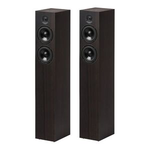 Pro-Ject Speaker Box 10 DS2 Floorstanding Speakers - Eucalyptus (Set of 2)