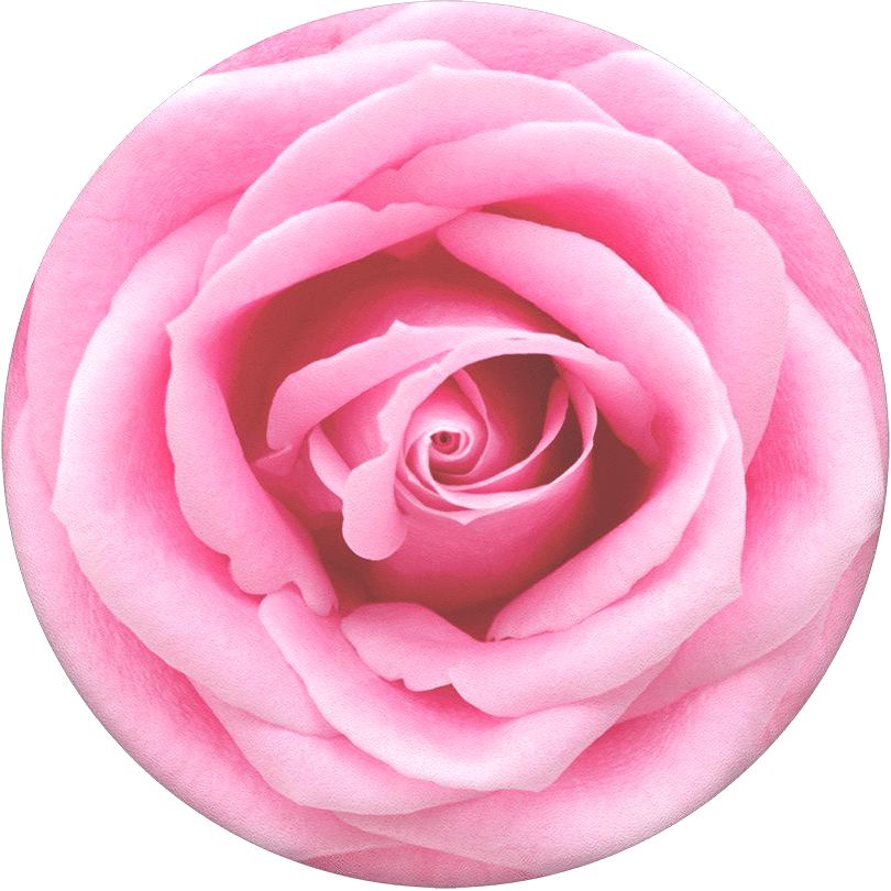 PopSockets Rose All Day PopGrip