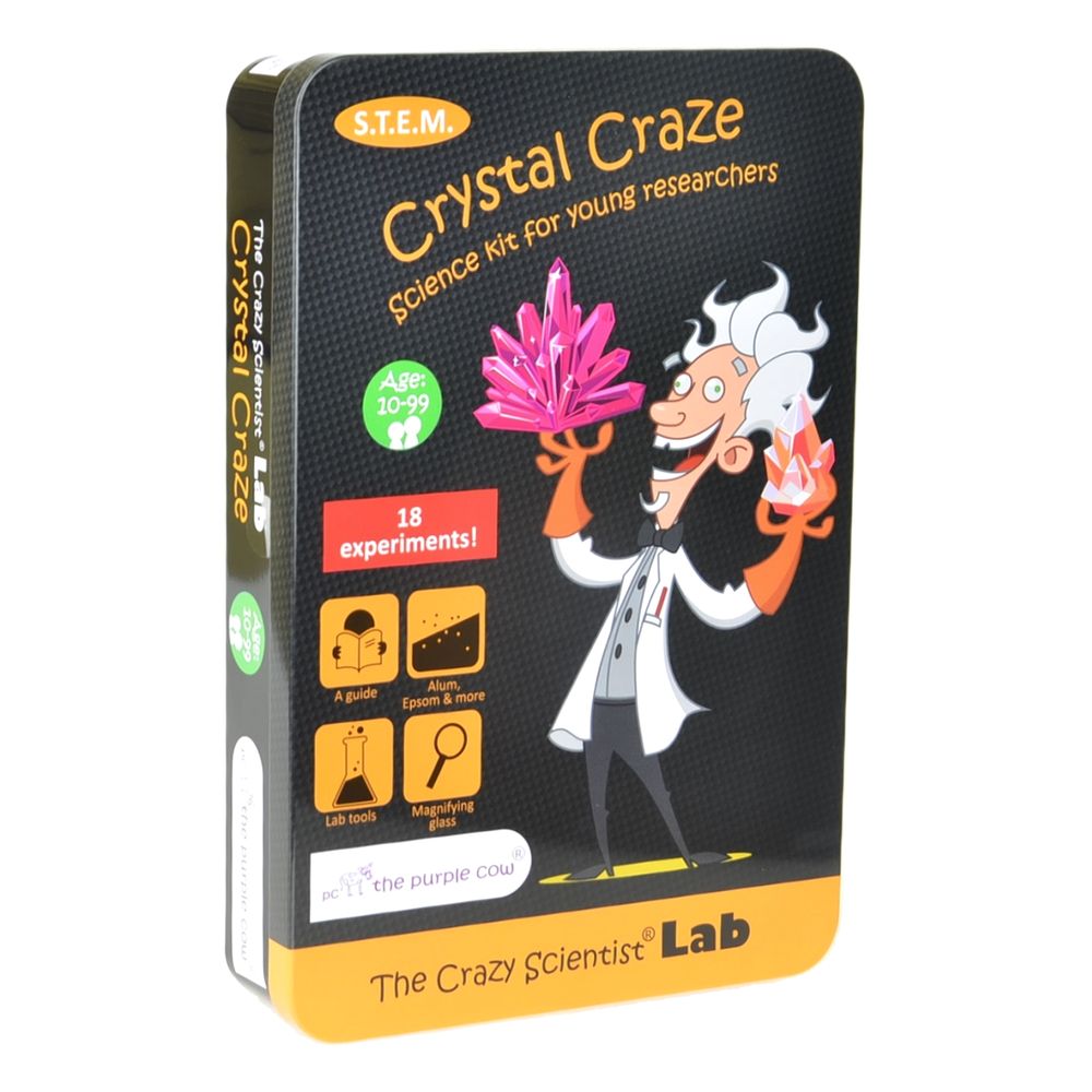 The Purple Cow The Crazy Scientist LAB Crystal Craze Science Lab Stem Kit