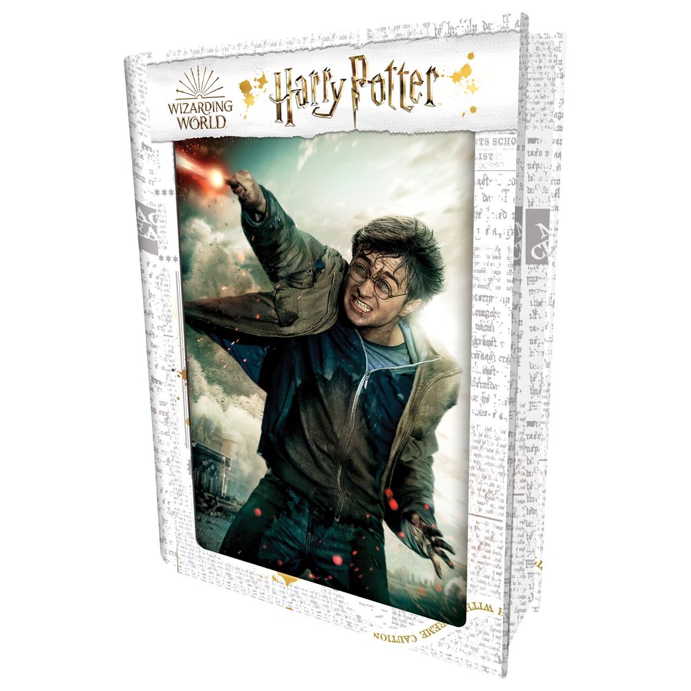 Prime 3D Harry Potter Jigsaw 3D Puzzle (300 Pieces)