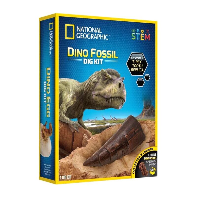 National Geographic Dino Fossil Dig Kit