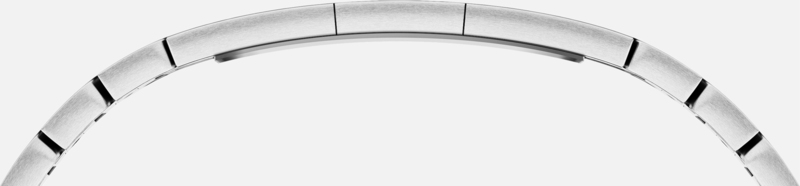Apple Watch 42mm Stainless Steel Case Link Bracelet