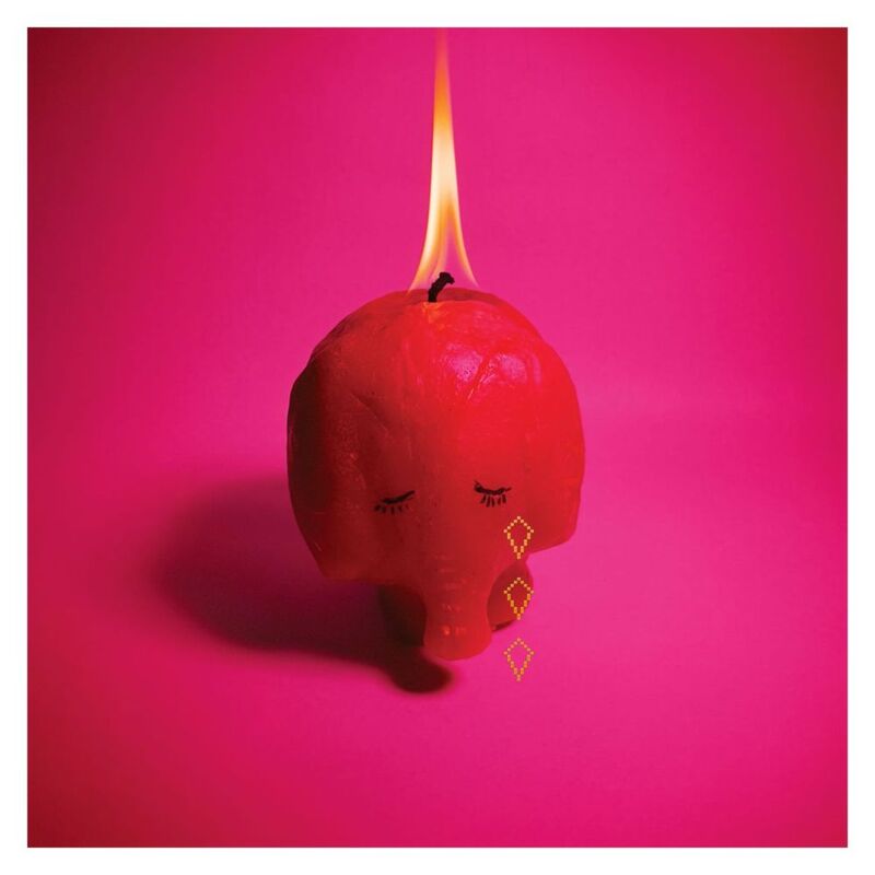 Pink Elephant | Arcade Fire