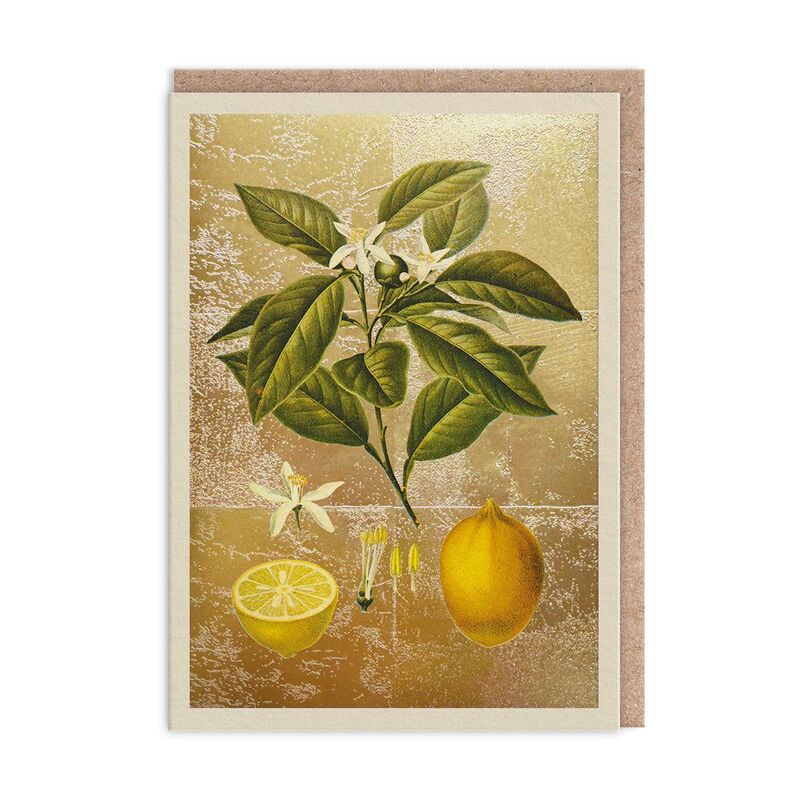 Ohh Deer Lemons Greeting Card (11986) Greeting Card (A6)