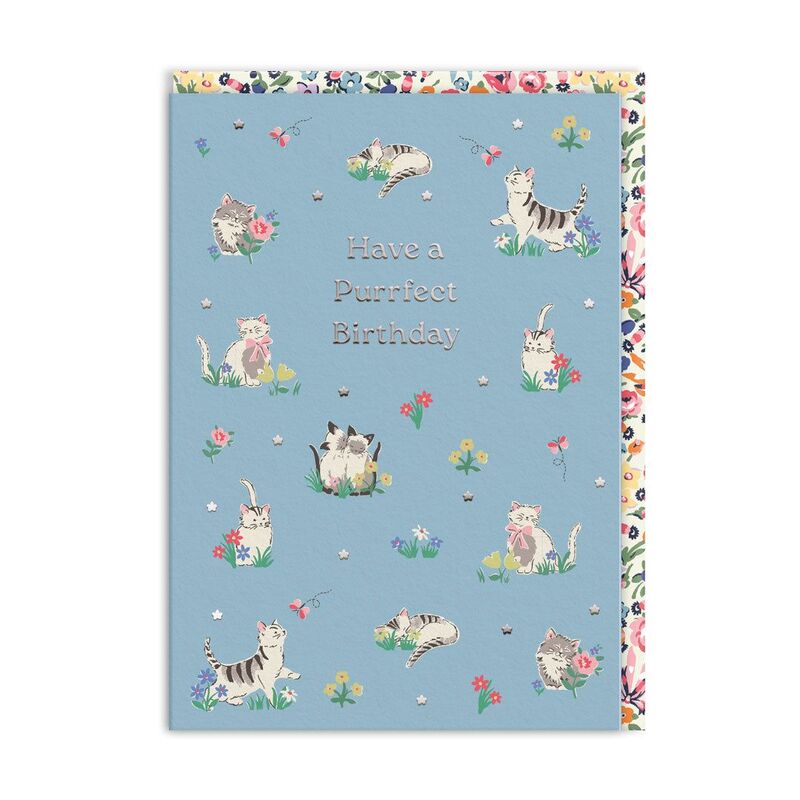 Ohh Deer Purrfect Birthday Kittens (11501) Premium Greeting Card (A6) Ohh Deer Purrfect Birthday Kittens (11501) Premium Greeting Card (A6)