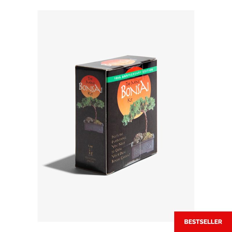 Mini Bonsai Kit | Mini-Kit Mini Bonsai Kit | Mini-Kit