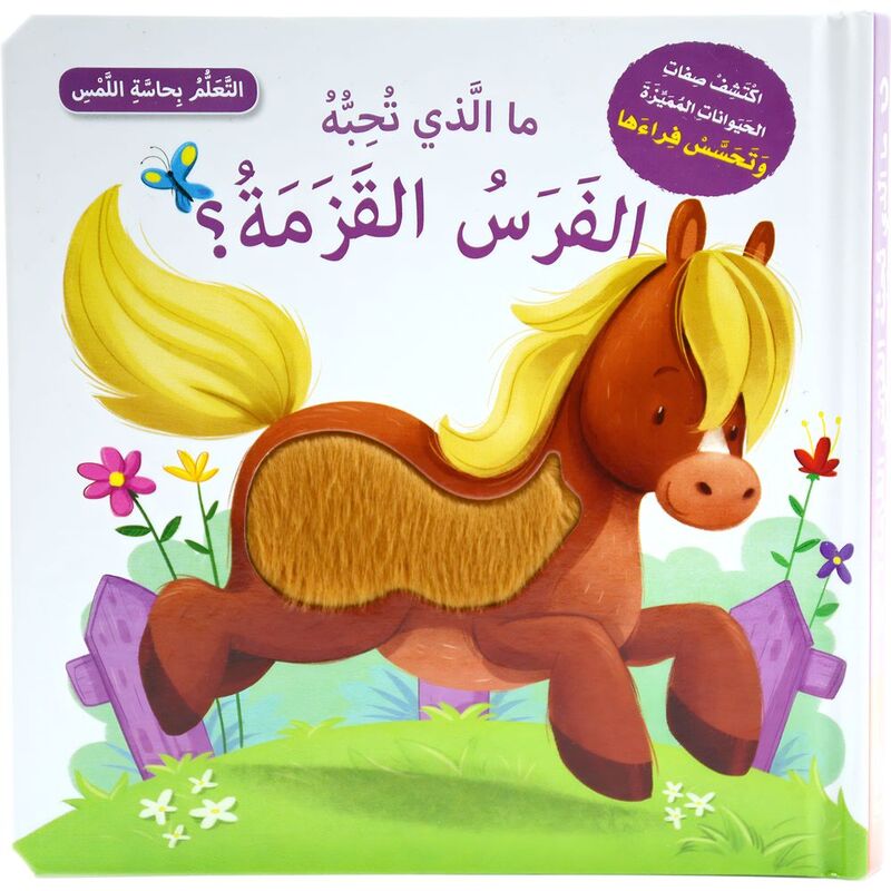 ما الذي تحبه الفرس القزمة؟ | رحاب عكاوي