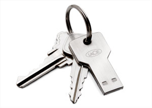 LaCie PetiteKey 8GB USB 2.0 Silver USB flash drive