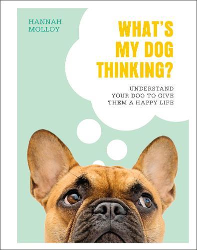What's My Dog Thinking? Understand Your Dog To Give Them A Happy Life | Hannah Molloy